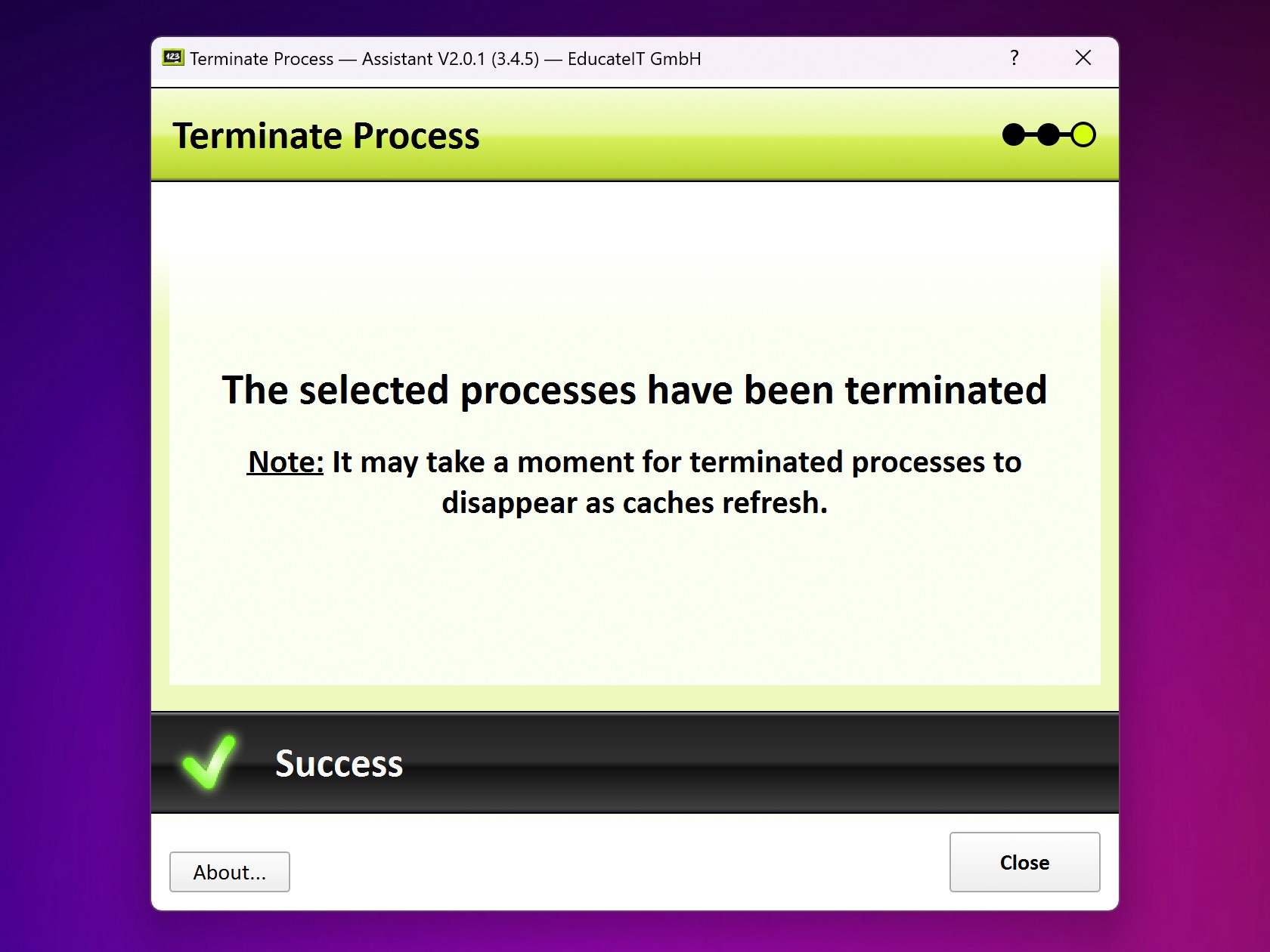 ../../../_images/process_monitor_terminate_success.jpeg